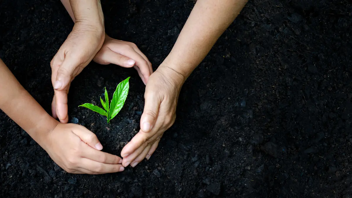 Zwei Hände umschließen eine junge Pflanze im Erdreich – Sinnbild für Verantwortung, Nachhaltigkeit und den Schutz der Natur.